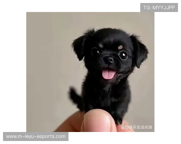 足球巨星萌娃萌态十足引人注目，未来球场之星的初现风采